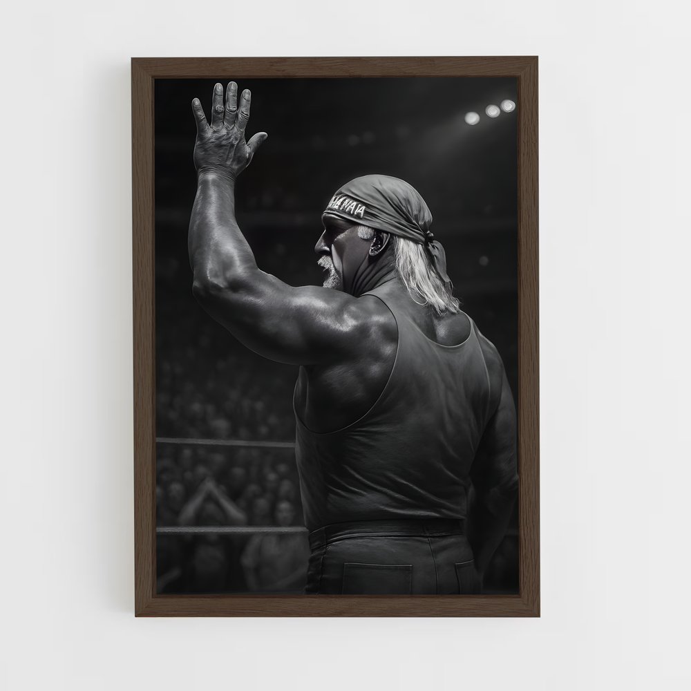Poster Hulk hogan (vue 5)